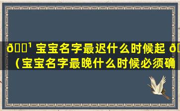 🌹 宝宝名字最迟什么时候起 🐳 （宝宝名字最晚什么时候必须确定）